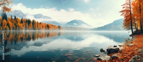 The view of the lake during the autumn season is absolutely stunning photo