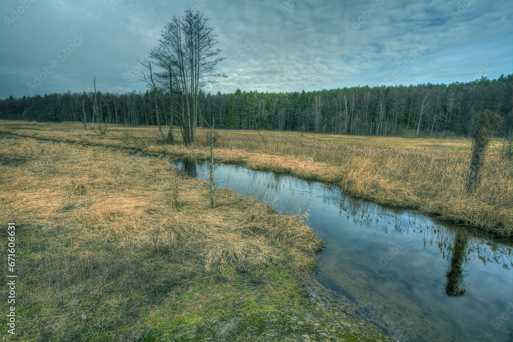 Autumn landscape misty foggy day in Knyszyn Primeval Forest, Poland Europe trees and meadows, river and swamps