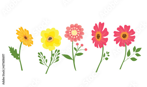 Floral vector. Spring flower. Flat flower. Flower bloom. Flat vector in cartoon style isolated on white background 