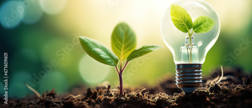 Blooming plant inside light bulb, representing eco-friendly green technology and innovation for sustainable businesses