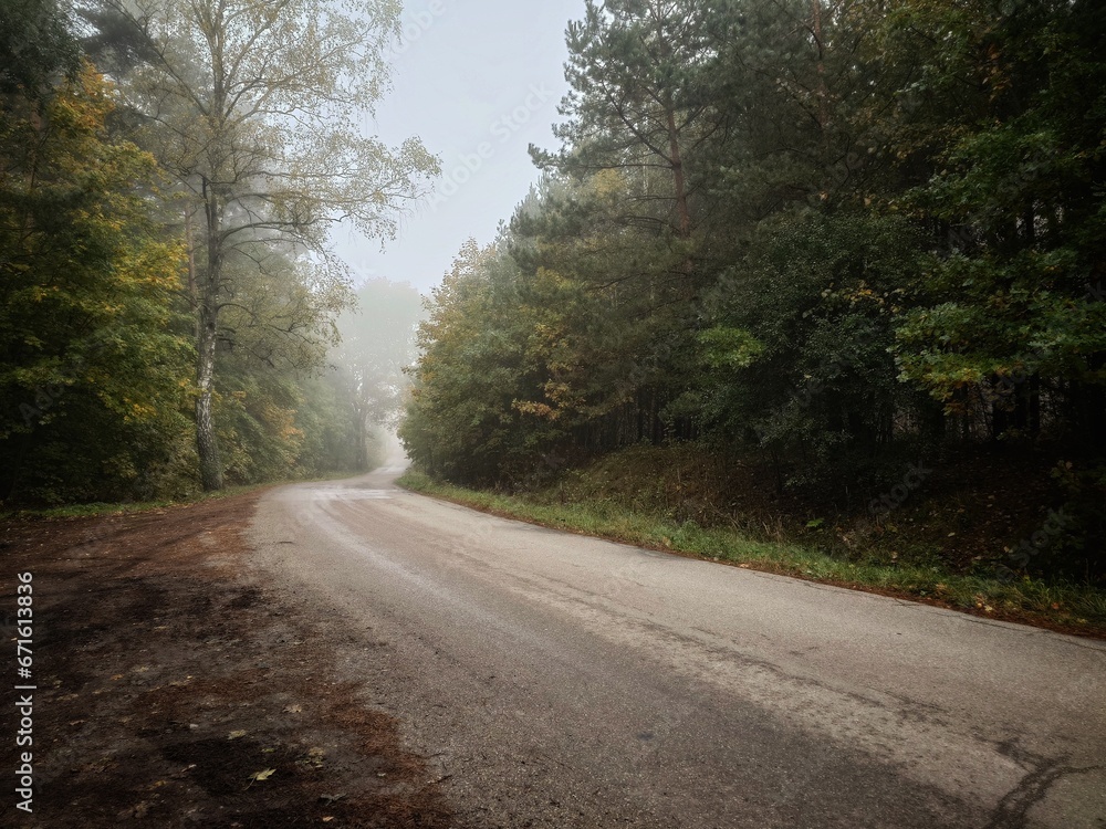 road in autumn