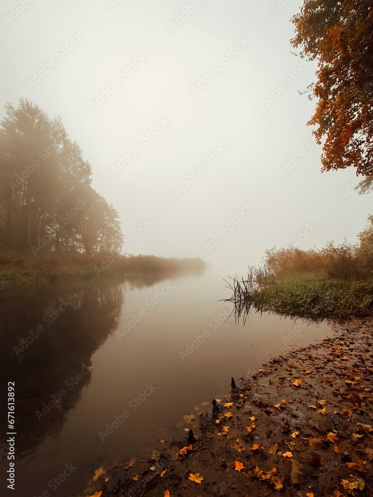 misty morning on the river