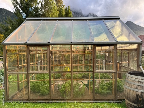 A glasshouse drenched in sunlight, N°1