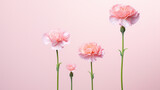 pink flowers HD 8K wallpaper Stock Photographic Image 