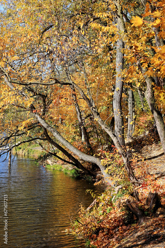 Fototapeta Naklejka Na Ścianę i Meble -  incredible autumn landscape with colorful leaves
