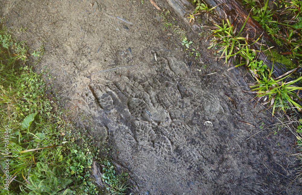 Foot mark on the jungle trail. Shoe prints on wet gravel or mud in mountain area. Foot mark on the jungle trail. Shoe prints on wet gravel or mud in mountain area.