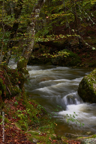 The colors of autumn in the beech forest on the route to the Puente Ra waterfalls in the Sierra de Cebollera  La Rioja . Spain