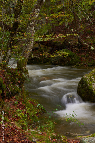 The colors of autumn in the beech forest on the route to the Puente Ra waterfalls in the Sierra de Cebollera (La Rioja). Spain
