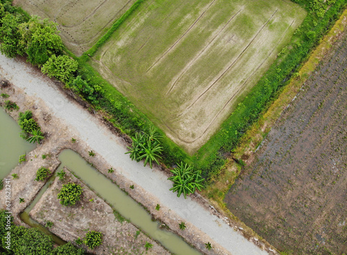 Top view of rice fields, mixed farmland, with water for cultivation photo by drone