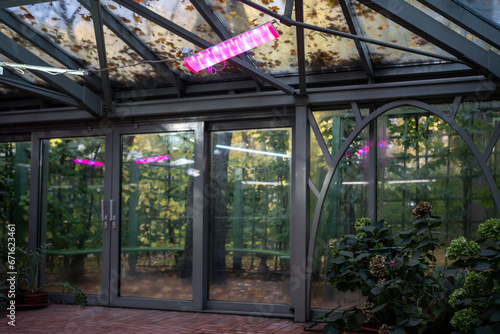 Billede på lærred Phytolamps in greenhouse garden in autumn-winter time for plants grown instead sun