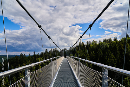 suspension bridge over the river