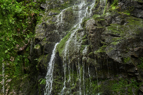 waterfall in the woods