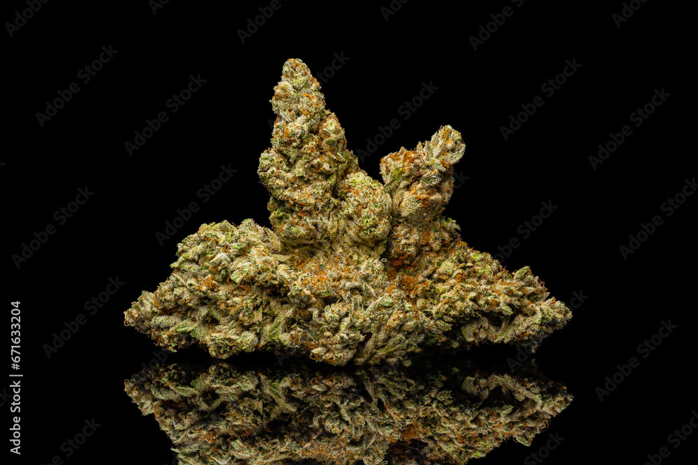 Fototapeta premium Jealousy Strain - Dry Cannabis Flower