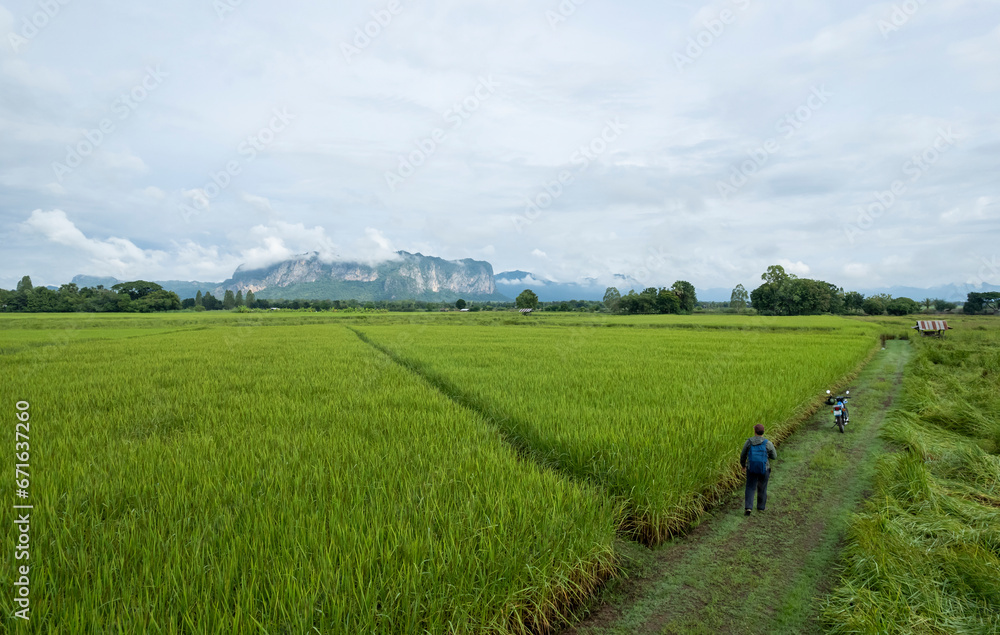 fresh morning view of phuphaman mountain with foggy in thailand, local travel location for nature love in natural