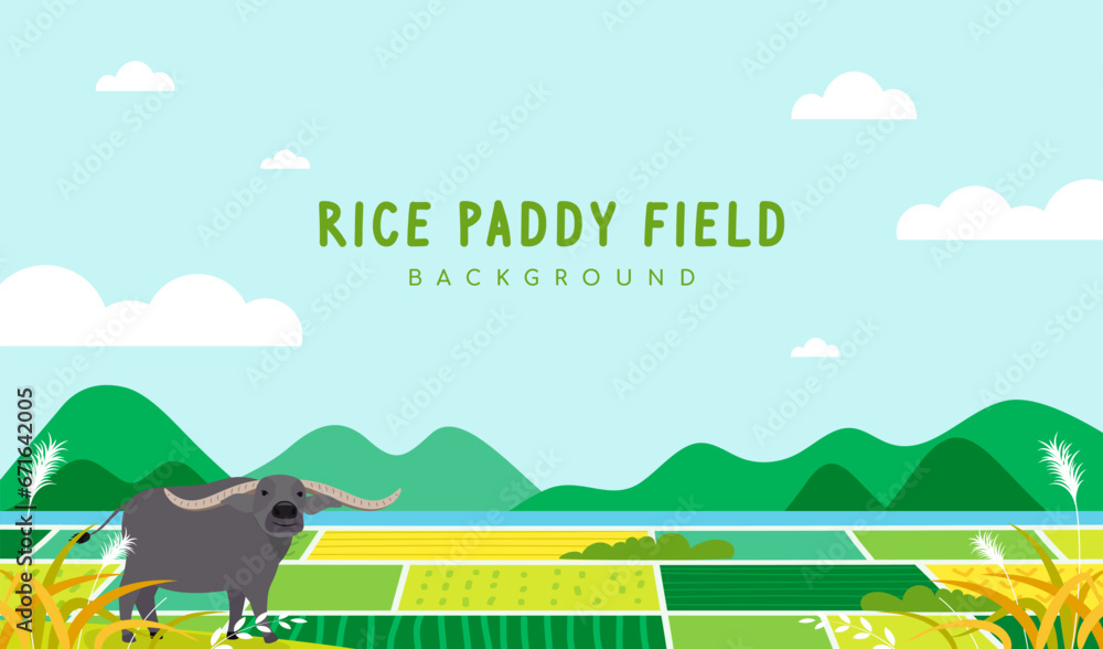 Rice paddy field landscape background vector illustration. Cute water buffalo  - obrazy, fototapety, plakaty 