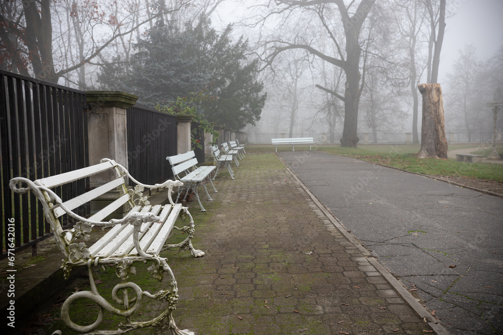 A bench in a calm park setting - misty autumn background