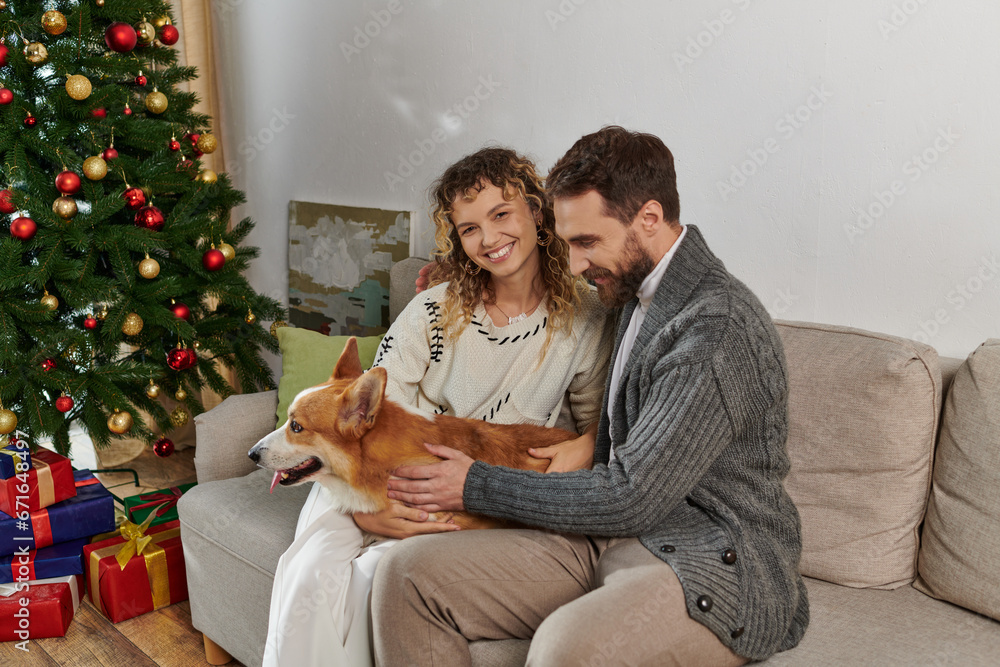 joyful couple in winter attire smiling and playing with corgi dog near decorated Christmas tree joyful couple in winter attire smiling and playing with corgi dog near decorated Christmas tree