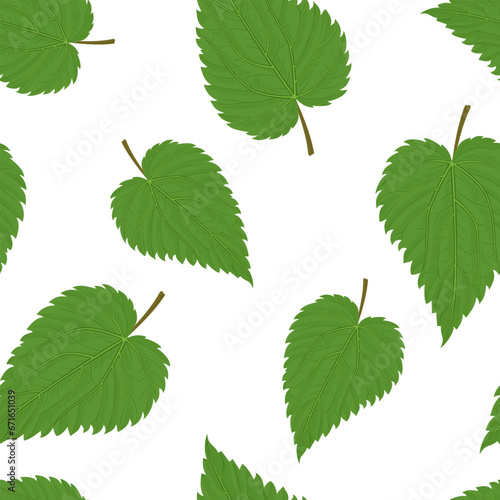 Green nettle leaves seamless pattern. Botanical background. Vector cartoon illustration.