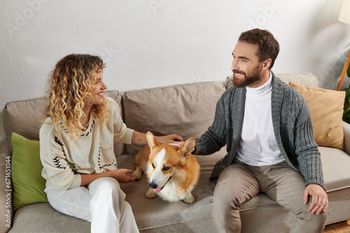 happy couple in casual winter outfits sitting on couch and cuddling corgi dog in modern apartment