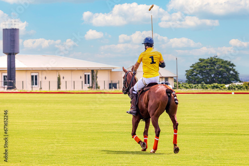POLO horse and rider