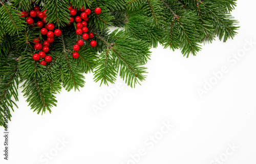 Christmas tree branch decorated with red berries isolated on white background  greeting card template