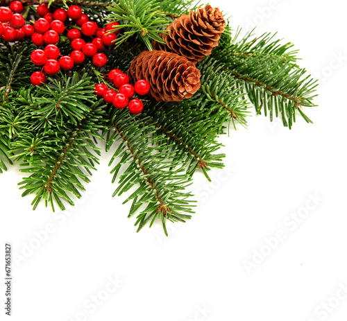 Christmas tree branch decorated with red berries and cones isolated on white background, greeting card template