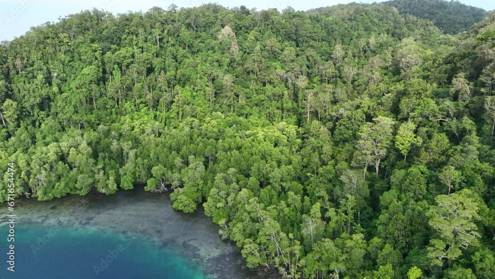 A mangrove forest, growing in Alyui Bay, Raja Ampat, is fringed by coral reef. Mangrove habitats support the vibrant marine biodiversity in this remote region of Indonesia. A mangrove forest, growing in Alyui Bay, Raja Ampat, is fringed by coral reef. Mangrove habitats support the vibrant marine biodiversity in this remote region of Indonesia.
