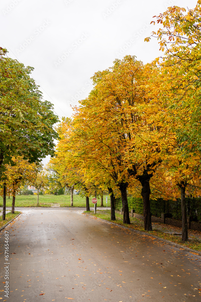 autumn in the park autumn in the park