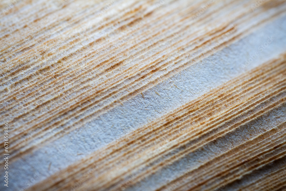 Extreme closeup of an old book from the side Extreme closeup of an old book from the side