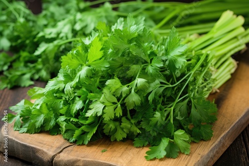 Parsley, an essential herb, adds a unique and authentic taste to cooking including steak, soup, and pasta. Its healthy, fresh, and delicious aroma is a must-try.