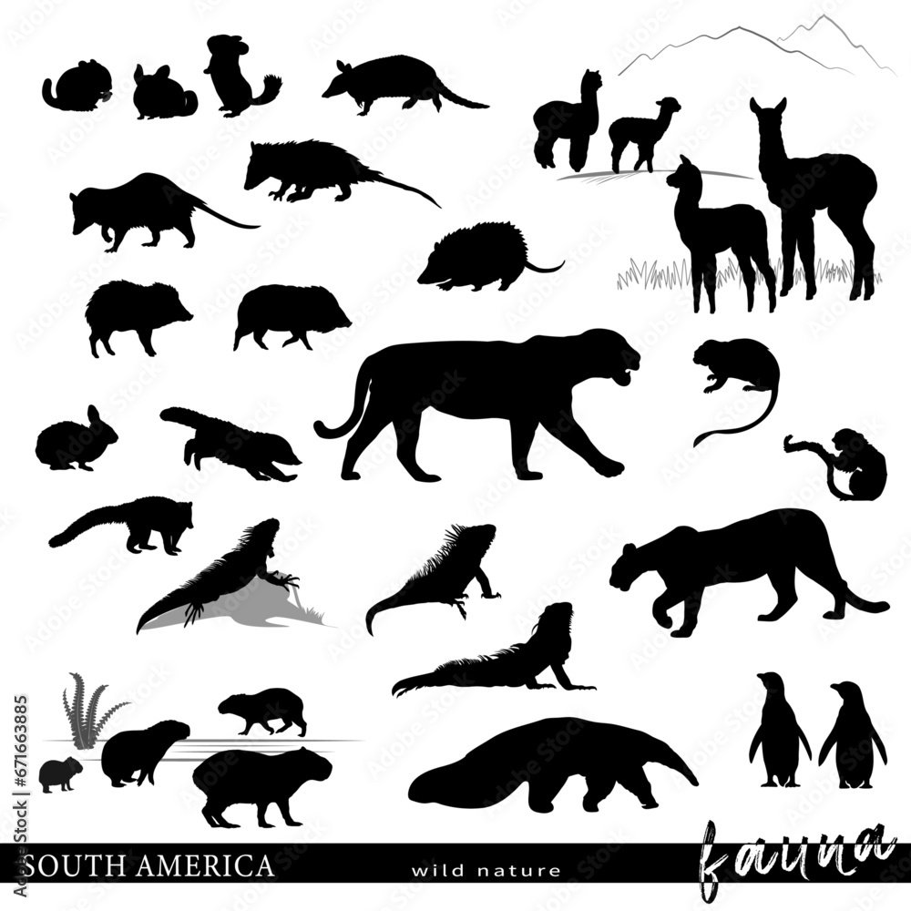 Obraz premium South America animal silhouettes set. Vector illustration.