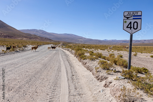 Traveling the famous Ruta40 in the scenic Argentinian highlands - fantastic views while driving through colorful and remarkably shaped mountains and watching wildlife in high altitude in South America photo