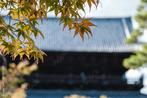 temple in autumn