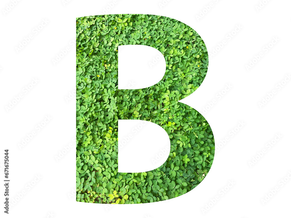 B shape made from green grass isolated on transparent background, suitable for template go green concept, PNG B shape made from green grass isolated on transparent background, suitable for template go green concept, PNG