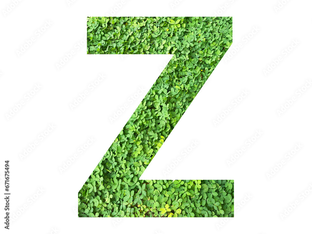 Z shape made from green grass isolated on transparent background, suitable for template go green concept, PNG Z shape made from green grass isolated on transparent background, suitable for template go green concept, PNG