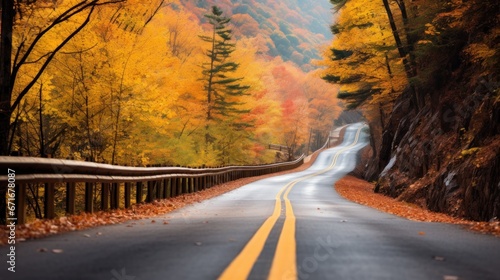 Road with orange, yellow trees inside in autumn, illustration for autumn graphics.