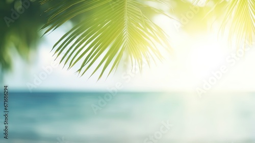 Blur beautiful nature green palm leaf on tropical beach with bokeh sun light wave abstract background.