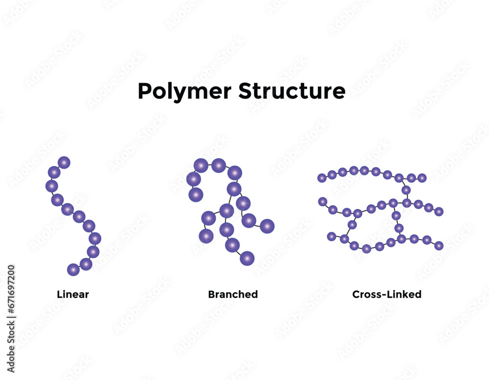 Types of Protein Structure. Proteins are biological polymers composed