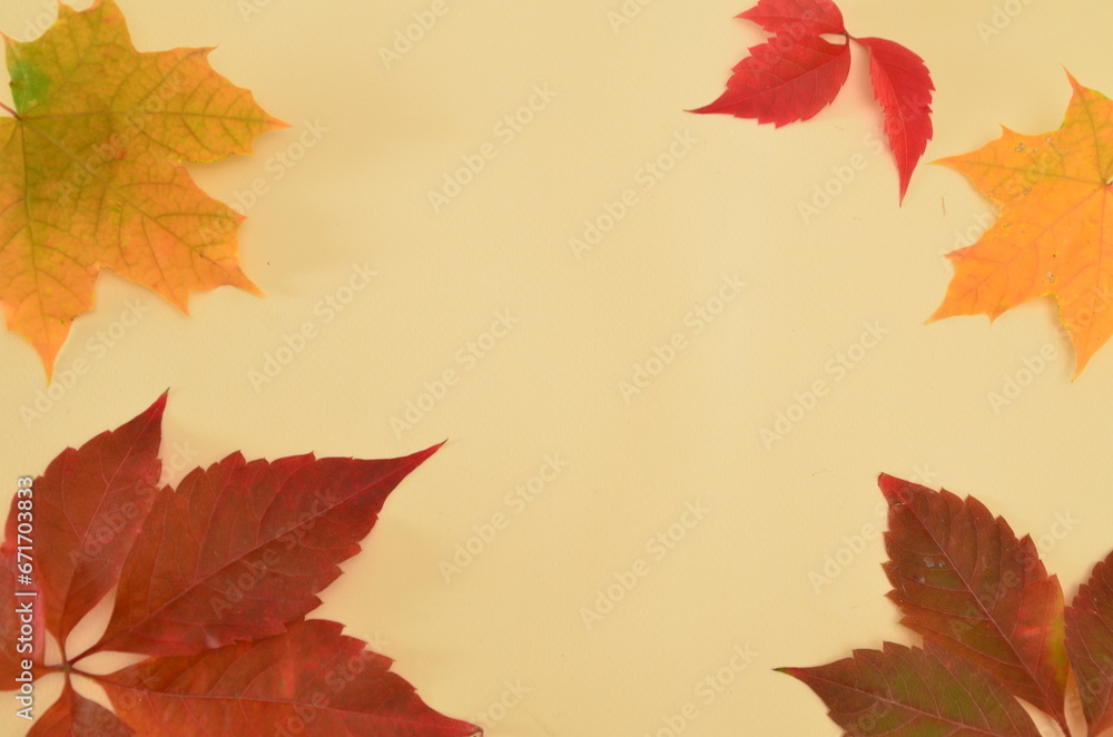 Fototapeta premium Assortment of fruits, grapes and nuts. Autumn seasonal harvest. pumpkin apples, red, yellow leaves. food still life with season fruits. Thanksgiving day, Halloween decoration fall design