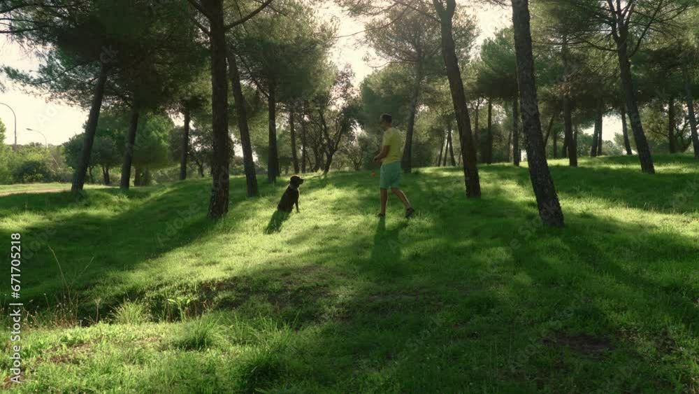 middle-aged bearded man playing ball with his labrador retriever dog middle-aged bearded man playing ball with his labrador retriever dog