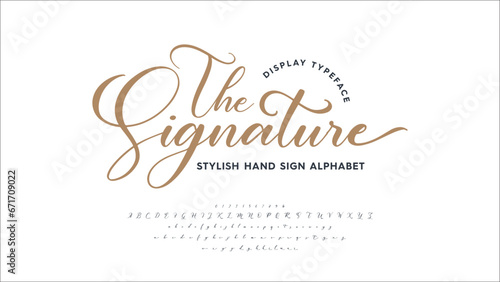 Script font display alphabet. Handwriting signature style fonts set. Typography a to z and numbers. Vector illustration