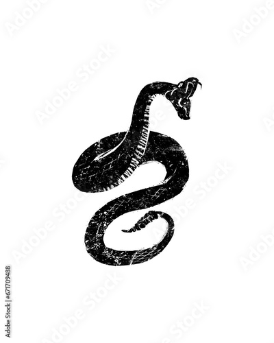 Snake coiled fangs graphic illustration isolated on transparent background