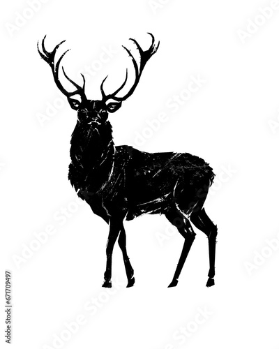 Stag looking graphic illustration isolated on transparent background