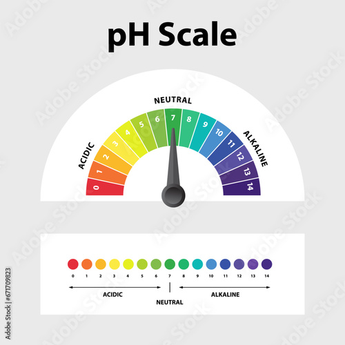 Ph level Scale chart indicator diagram value. Alkaline, neutral, acidic solution.