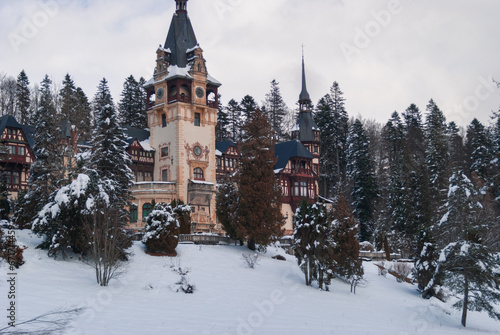 Peleș Castle in Sinaia, Romania with a snowy forrest behind photo