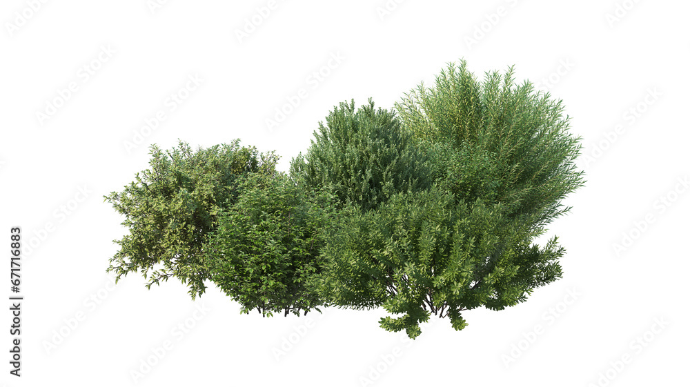 Small garden with various shrubs on transparent background
