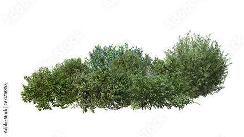 Small garden with various shrubs on transparent background