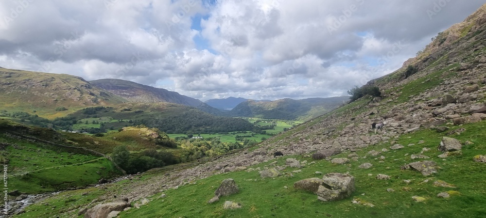 Lake District National park mountain landscape on a cloudy day and flora including Lichen Lake District National park mountain landscape on a cloudy day and flora including Lichen