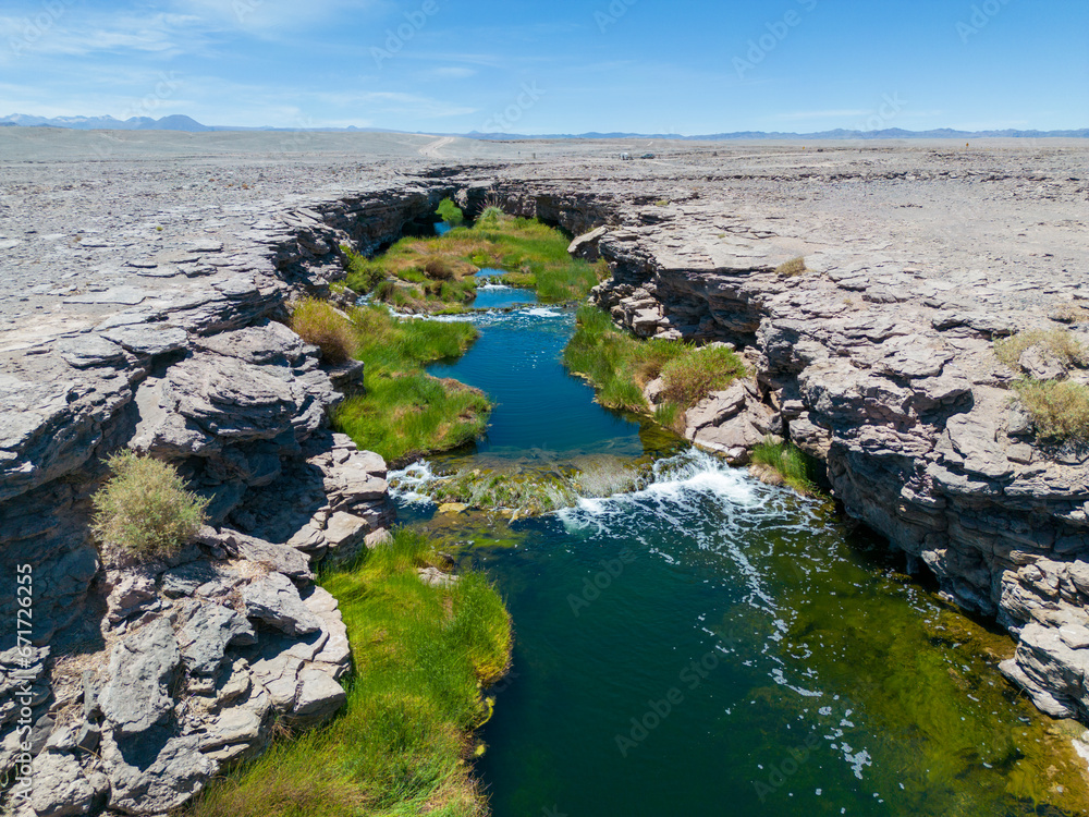 Salado River near Calama in the north of Chile - a crack with fresh water, lush green vegetation and even trouts crossing the otherwise bone dry Atacama desert - what a spectacular surprise by nature