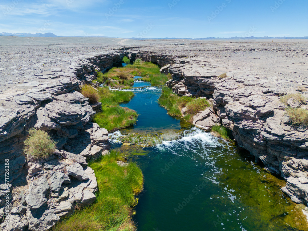 Salado River near Calama in the north of Chile - a crack with fresh water, lush green vegetation and even trouts crossing the otherwise bone dry Atacama desert - what a spectacular surprise by nature